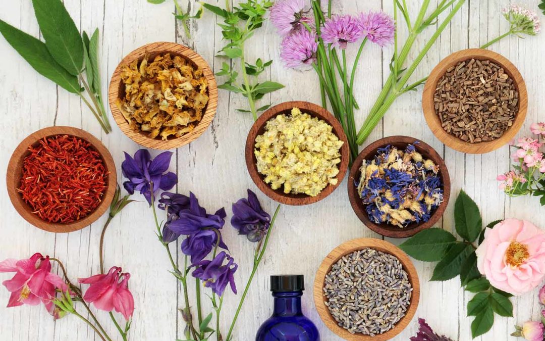 Aromatherapy Enhances Customer Loyalty and Experience