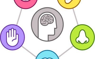 The Five Senses Enhance Customer Experience
