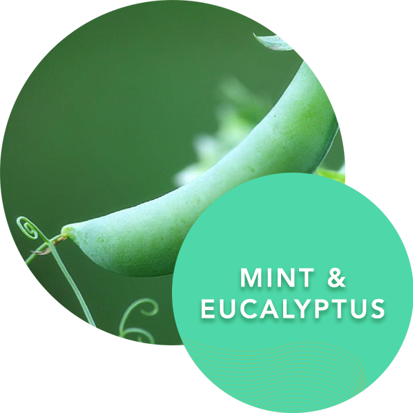 mint-all