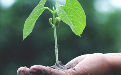 Sustaining Our PATH Together: A Prolitec Journey in Manila