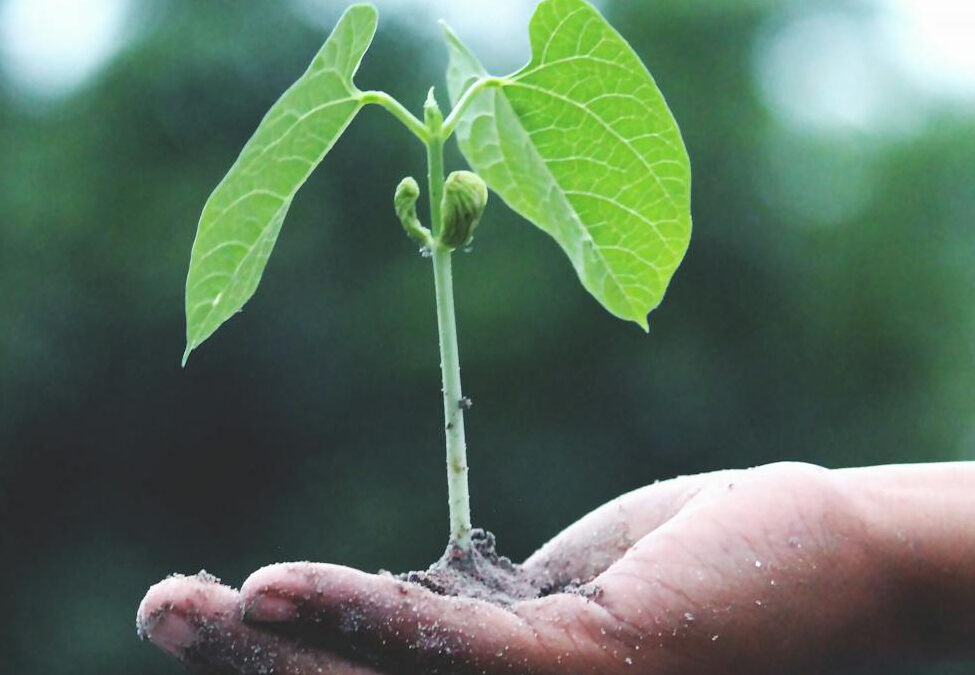 Sustaining Our PATH Together: A Prolitec Journey in Manila