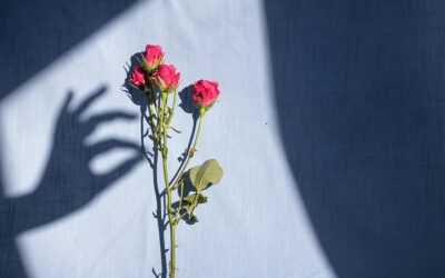 Unveiling the Power of Smell – A Journey Through One of Our Most Essential Senses