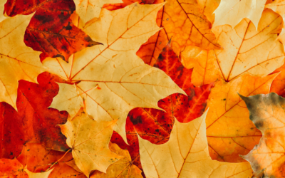 Warm up your business: Why seasonal scents are a smart investment