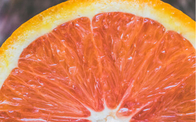 Brighten winter blues: the transformative power of scents for your space