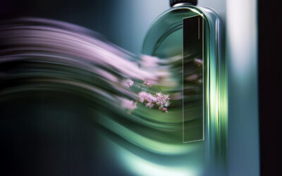 Sharper Minds, Stronger Business: Prolitec Launches the Brand-New Focus Collection