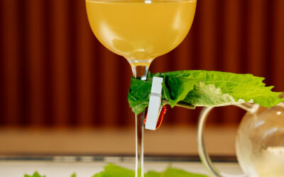 Beyond the Scent: From Diffuser to Cocktail Glass at Renaissance Phuket Resort & Spa