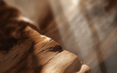 Introducing Golden Woods: The New Strategic Fragrance Redefining Focus in the Workplace