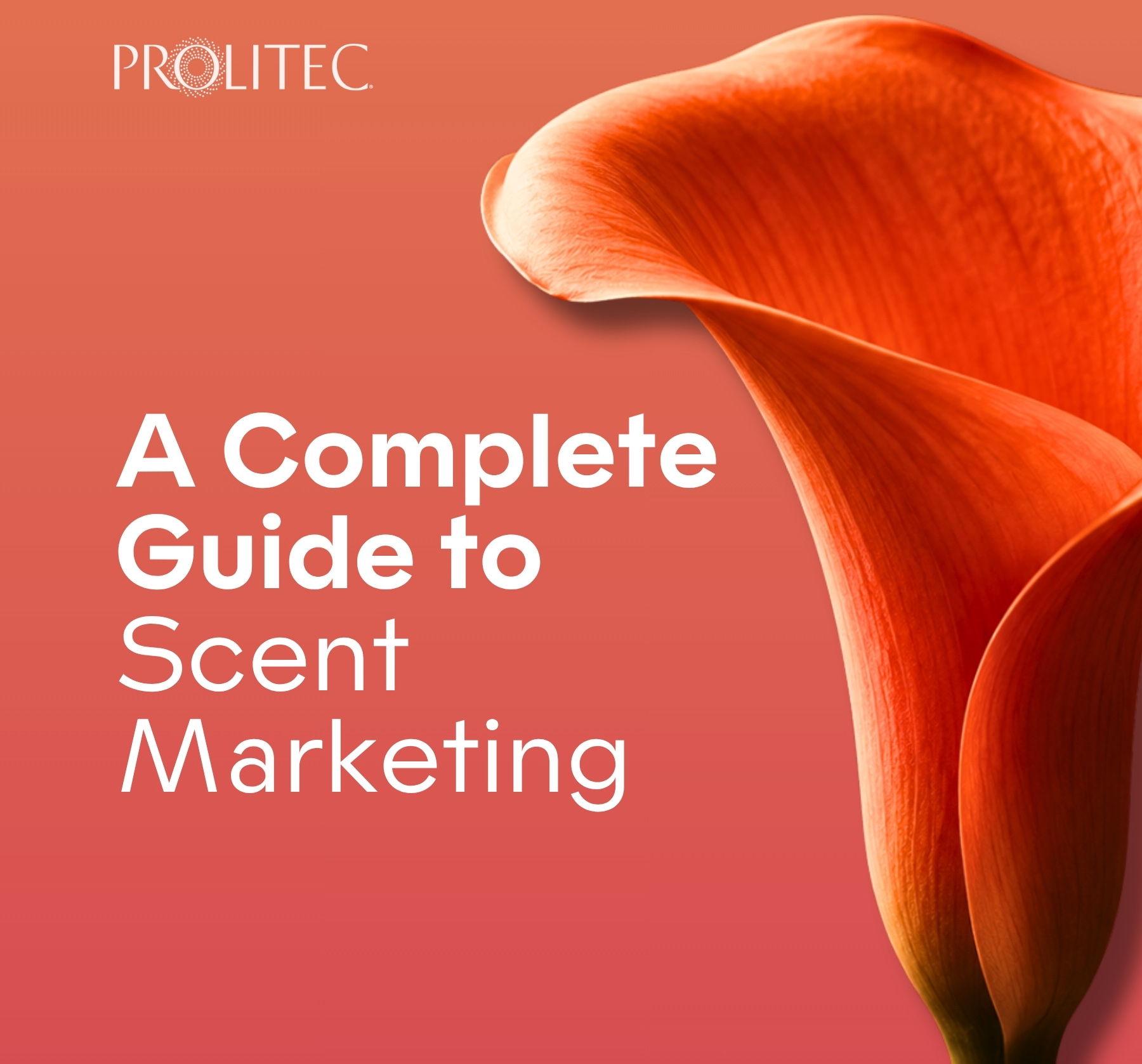 Complete Guide to Scent Marketing